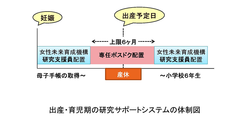 出産・育児期の研究サポートシステムの体制図